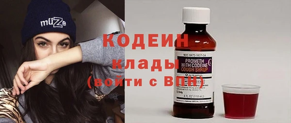 прущие грибы Апатиты