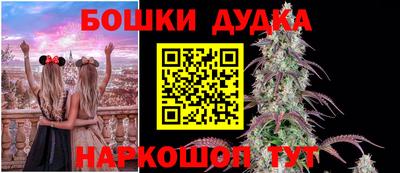 ALPHA PVP Бийск