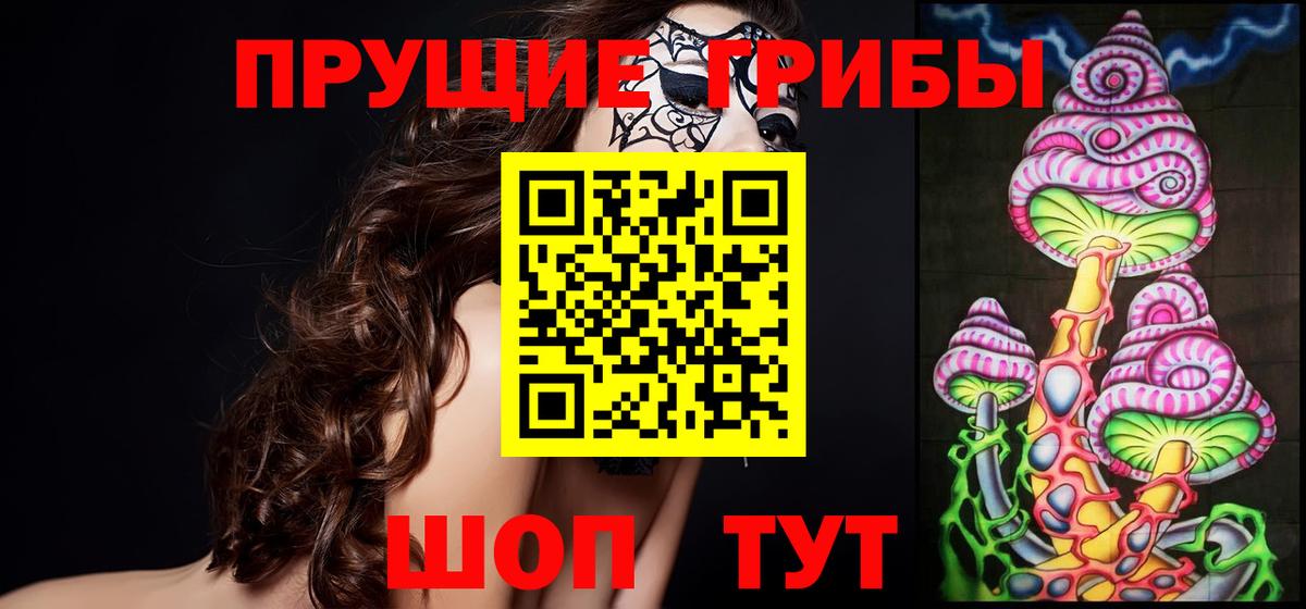 хочу наркоту  Вход с VPN  Барнаул  Галлюциногенные грибы мицелий  Псилоцибиновые грибы Psilocybe 