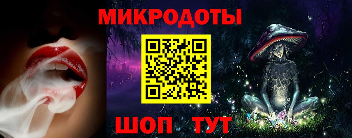Псилоцибиновые грибы Psilocybine cubensis Барнаул